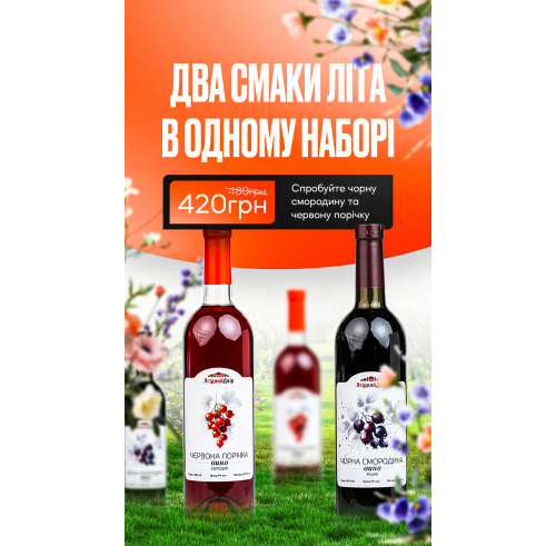 Літній сет Міні