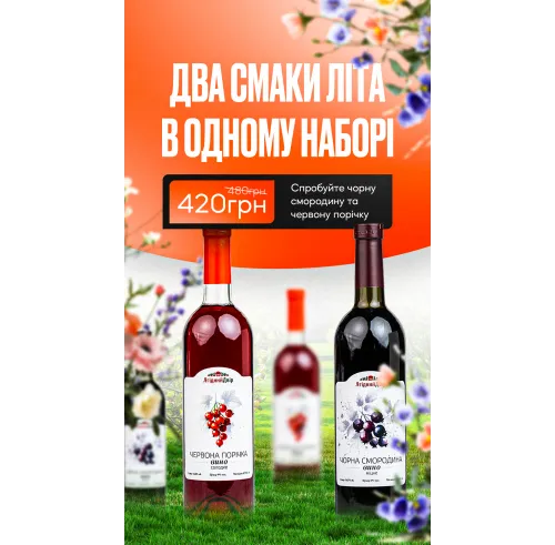 Літній сет Міні